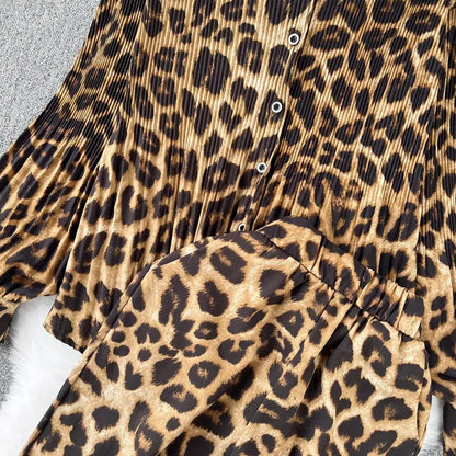 Casual Leopard Print Set 2 Pieces Long Sleeve Shirt